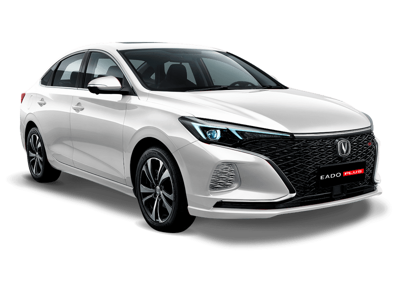 Звездный белый